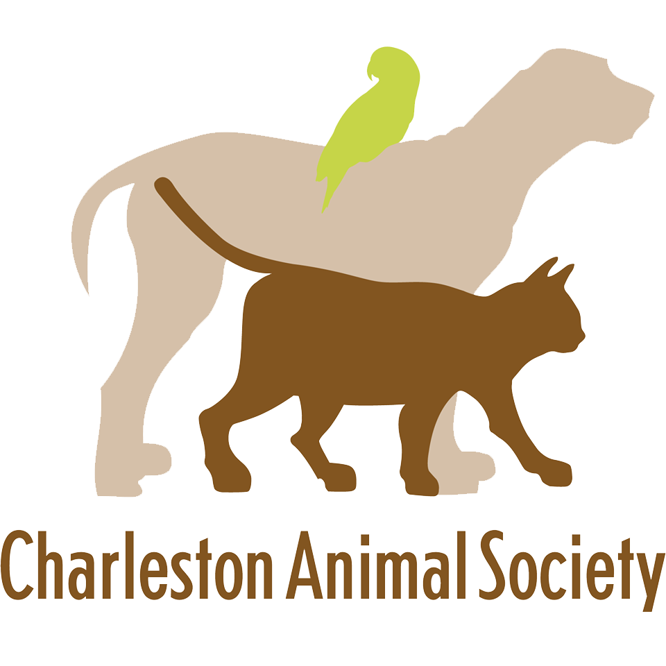 Charleston Animal Society